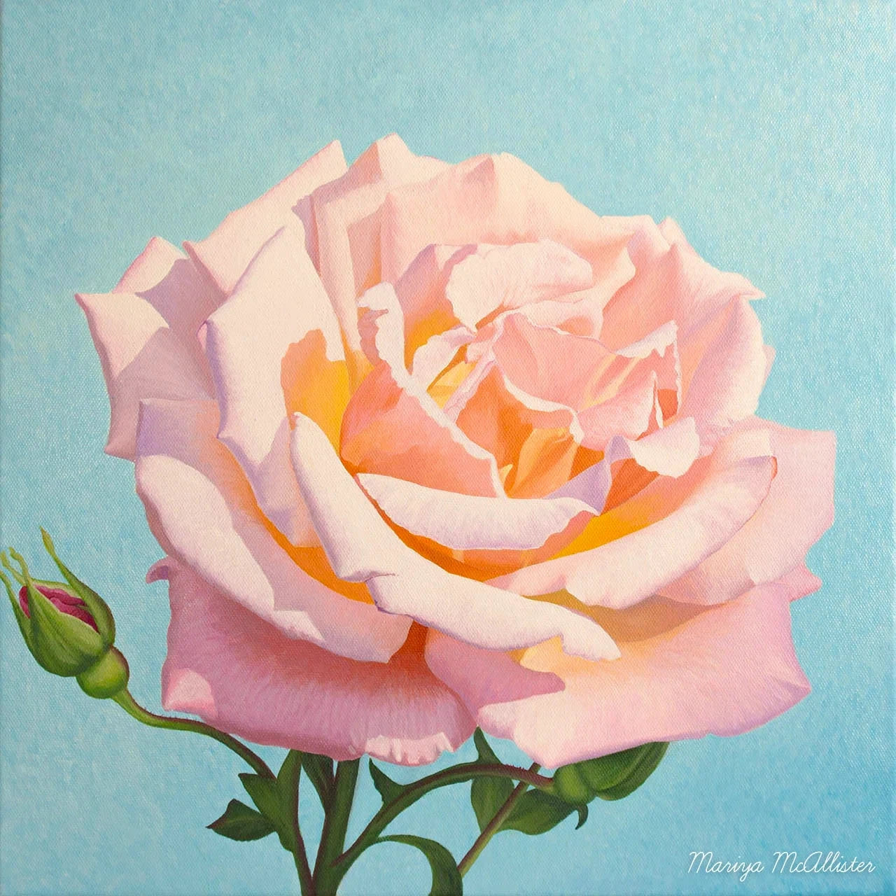 Compassion by Mariya McAllister
