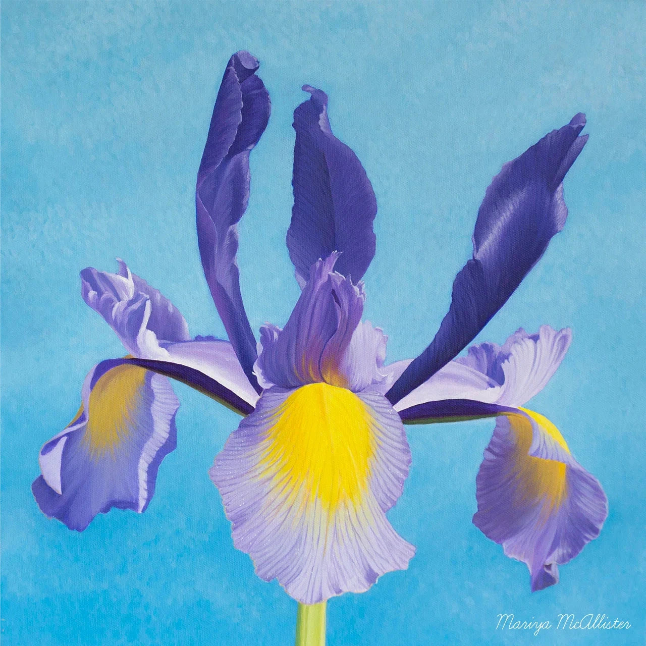 Mariya McAllister Wisdom - Artwork Wall Art