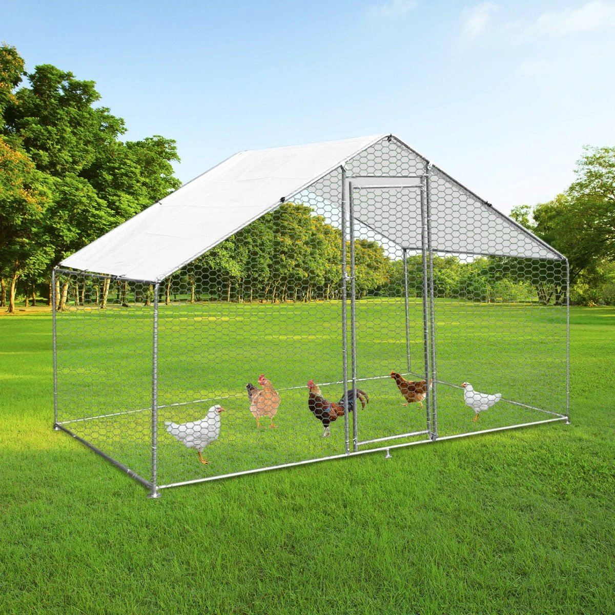 Chicken Run 4m x 2m x 2m by Monster Shop