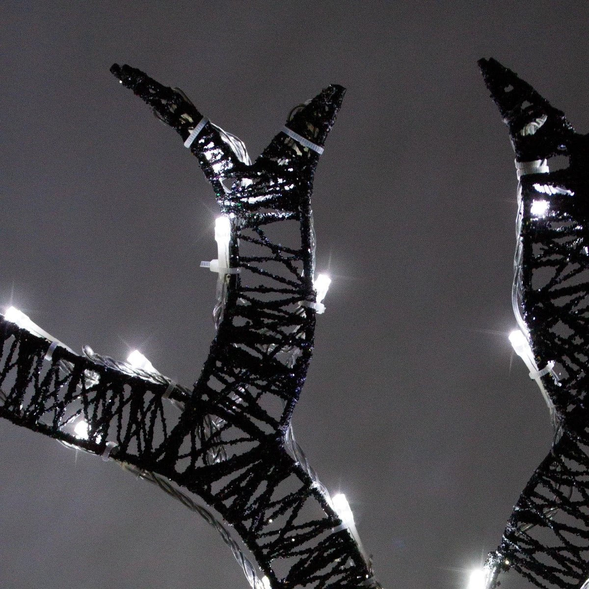 Monster Shop Light up Reindeer Gold Stag & Doe Set -