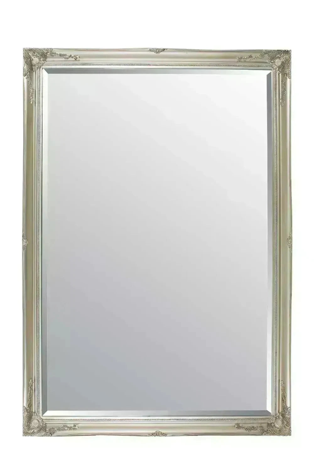 Buxton Extra Large Leaner Mirror 201 x 140 CM by Unbranded