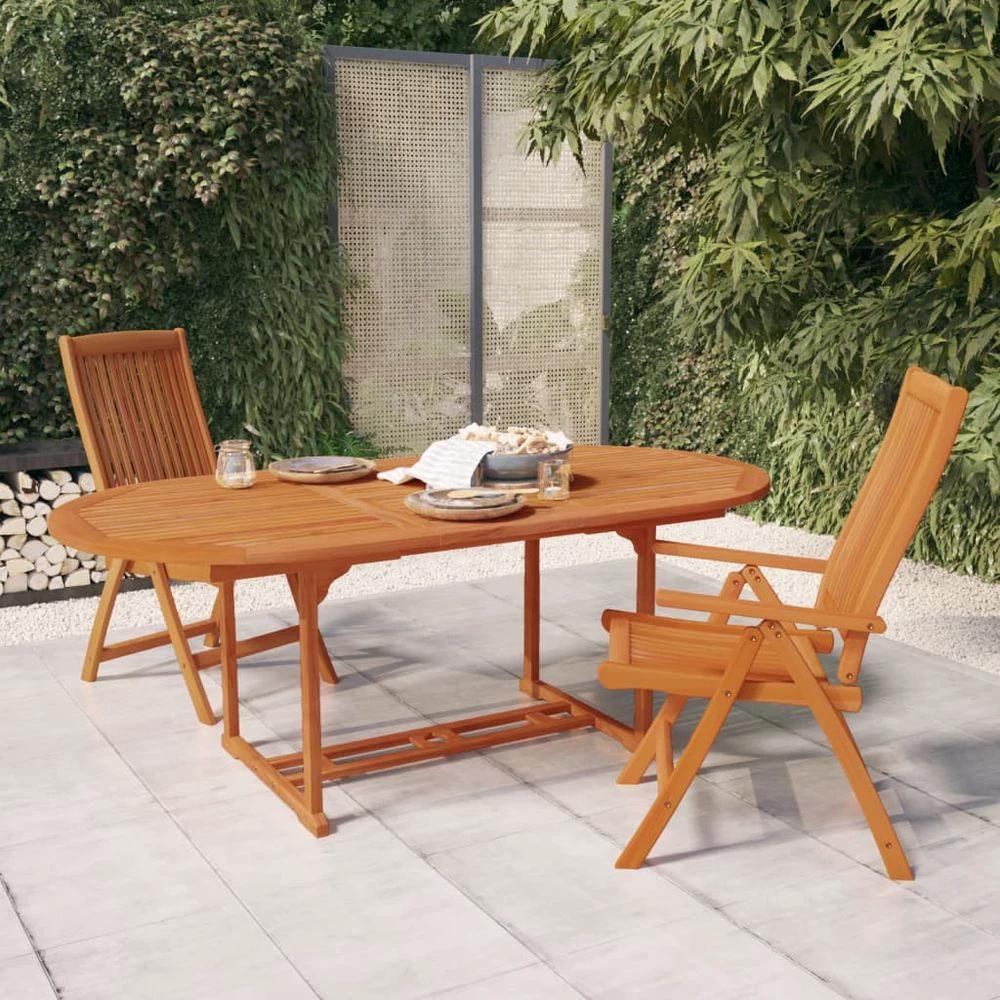 Folding Garden Chairs 2 pcs vidaXL Solid Wood Eucalyptus by vidaXL