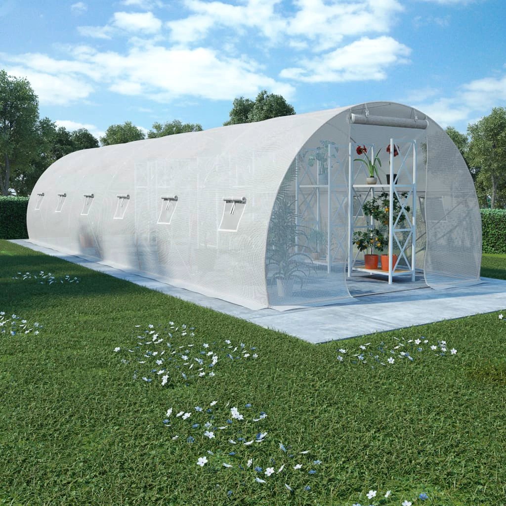 vidaXL vidaXL Greenhouse 4.5m² 300x150x200 cm - Greenhouse