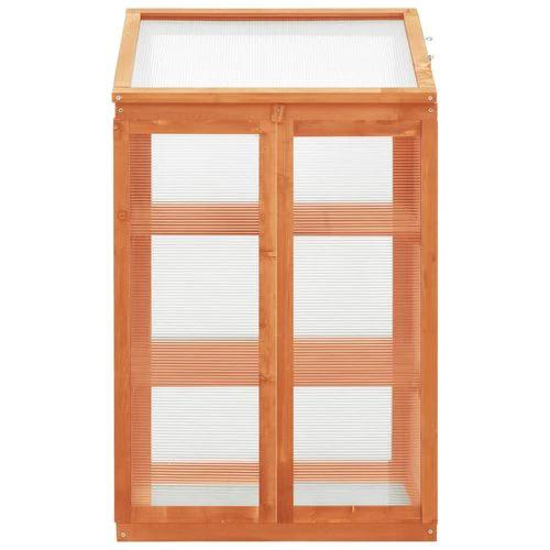 vidaXL Greenhouse 60x45x100 cm Firwood by vidaXL