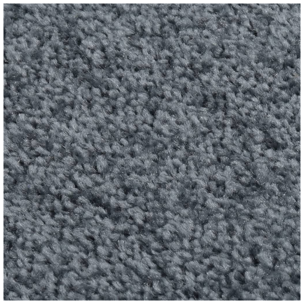 vidaXL Rug Short Pile 80x150 cm Anthracite by vidaXL