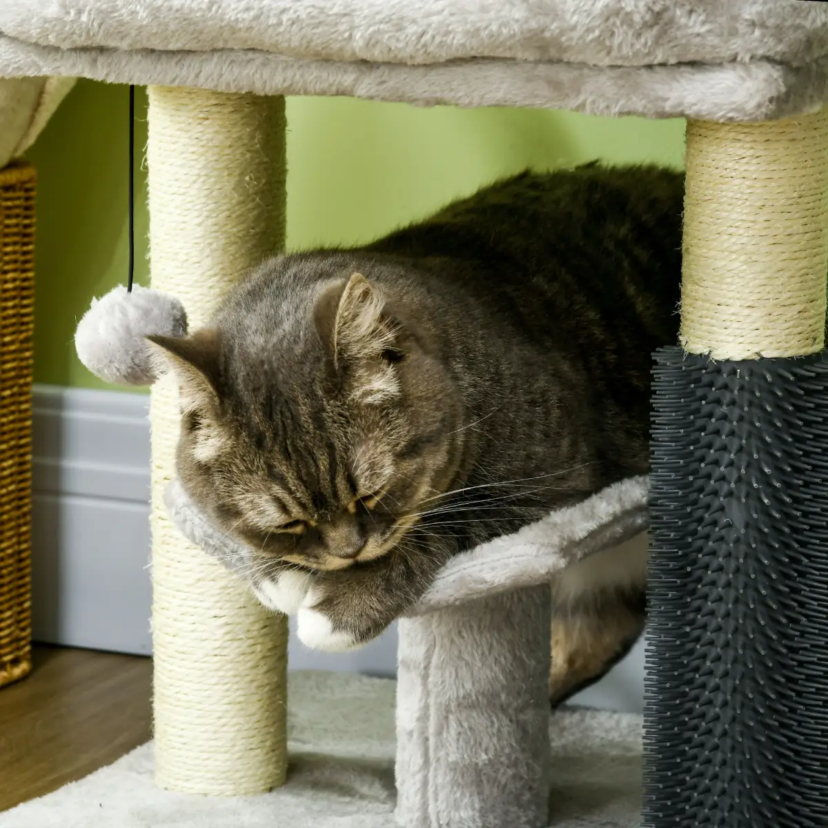 Cat trees: a plain guide to perches, stairs and picking the right one