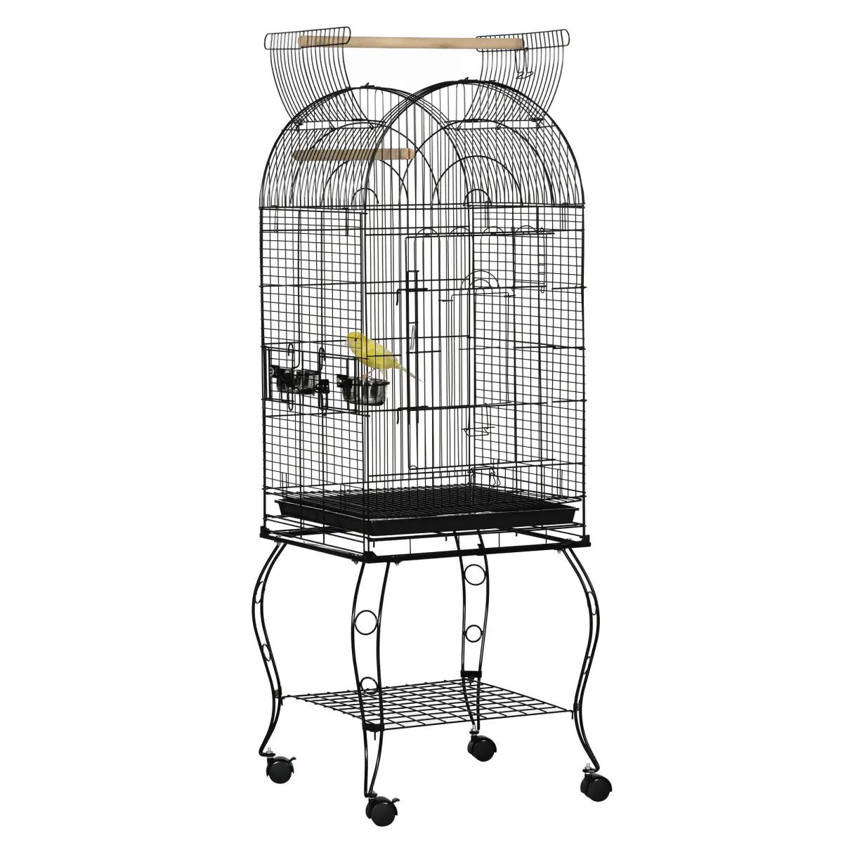 Planning an outdoor aviary: what to sort out before it arrives