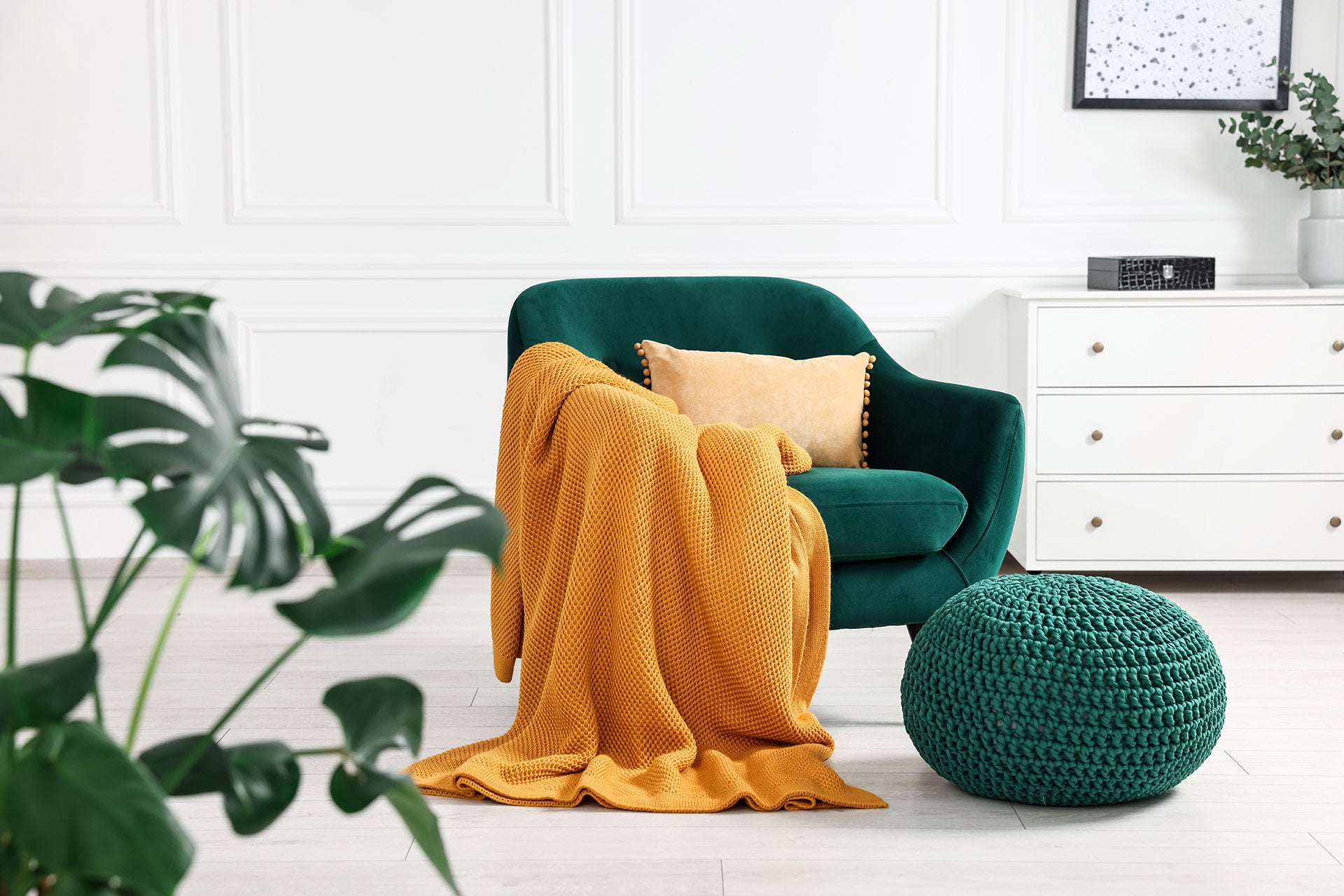 modern green armchair with cushion and plants