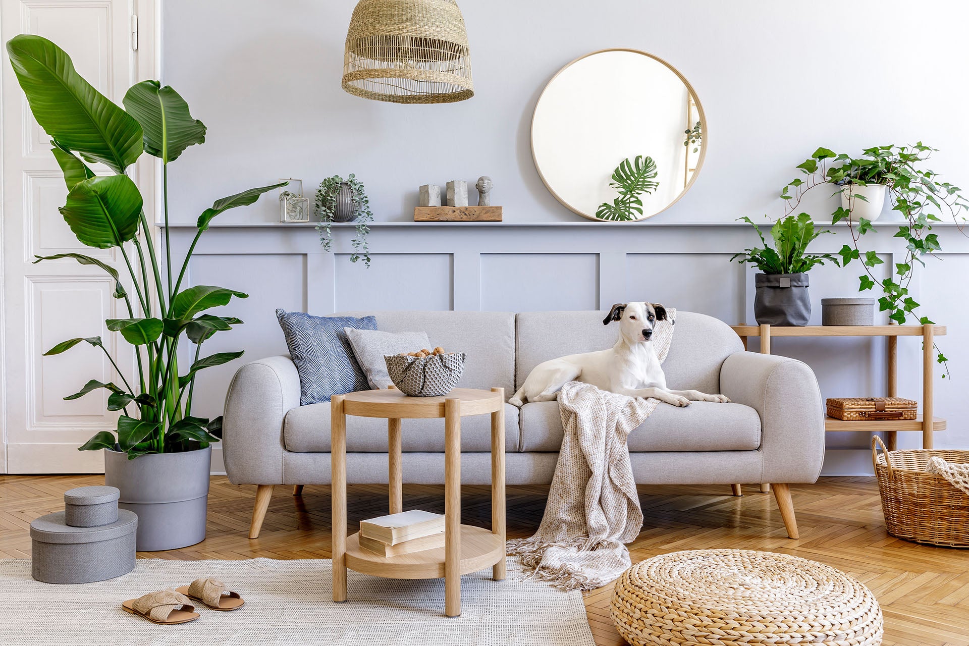 comfortable sofa for modern living room with home feel