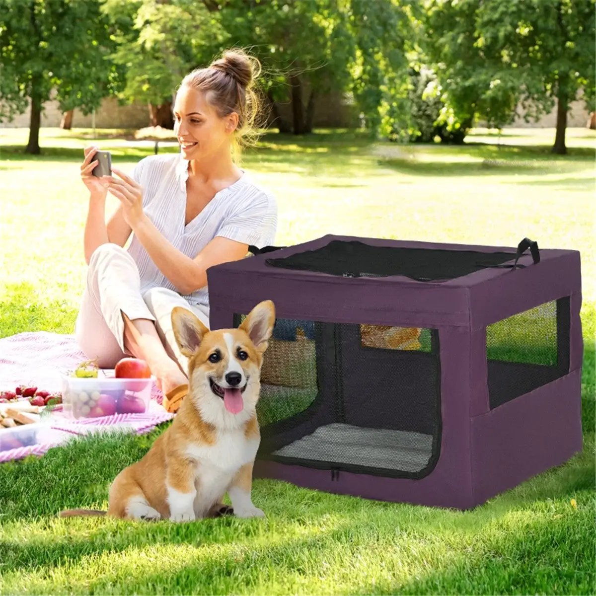 Pet Carrier - from N/A