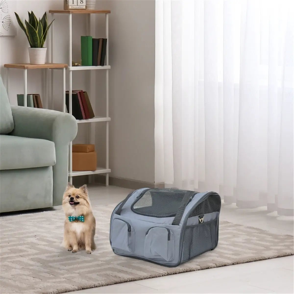 Pet Carrier - from N/A