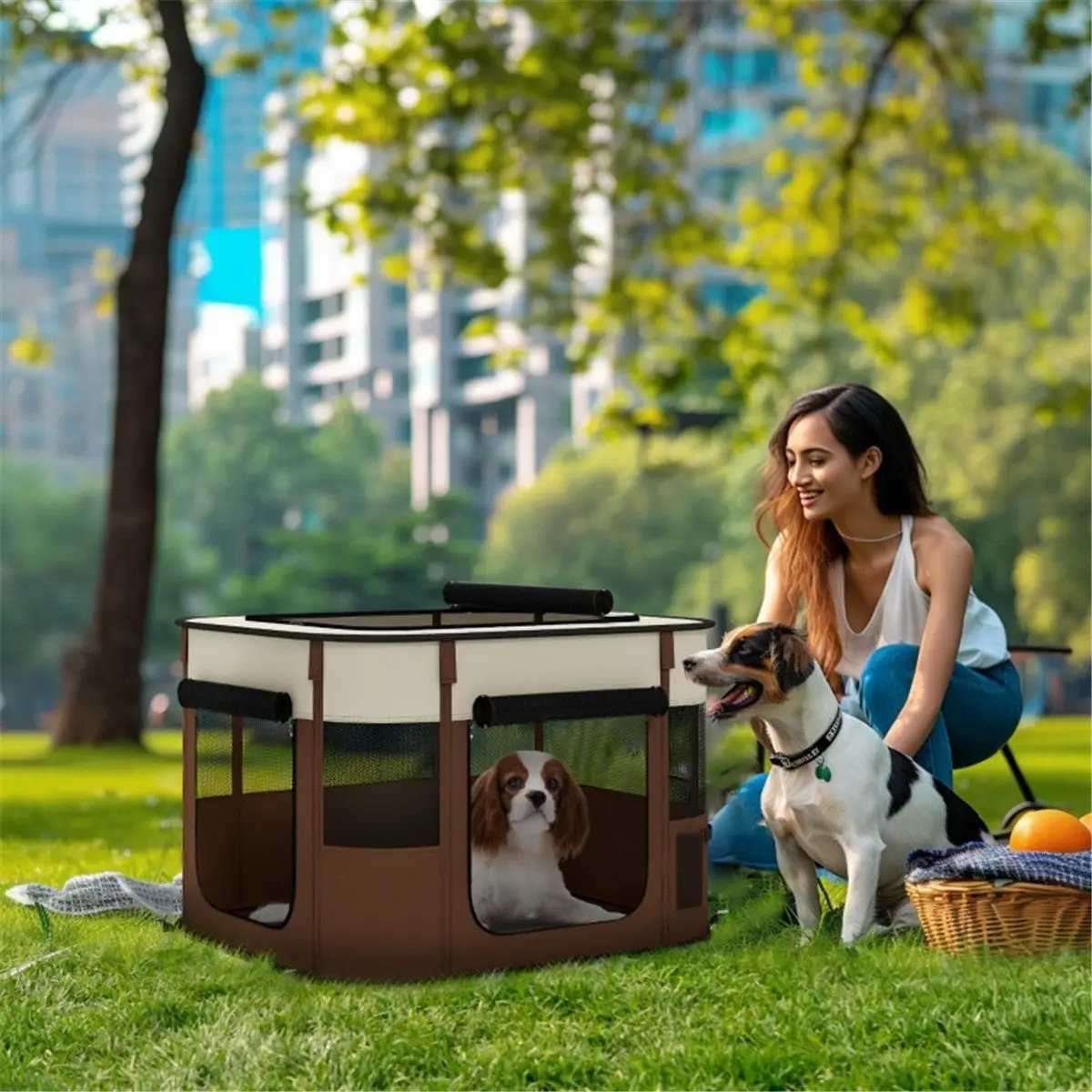 Pet Carrier - from N/A