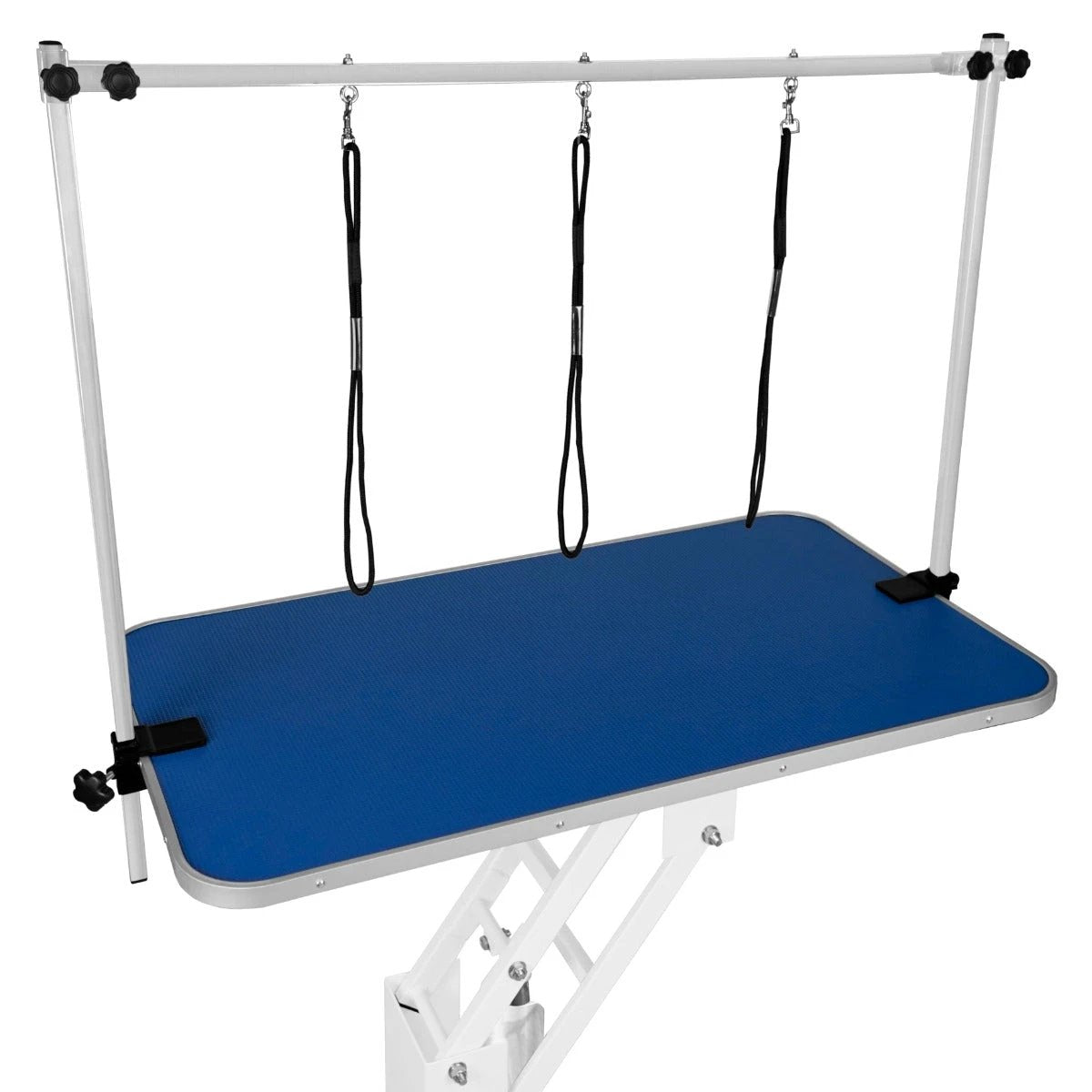 White Hydraulic Grooming Table - Blue Table Top by Monster Shop