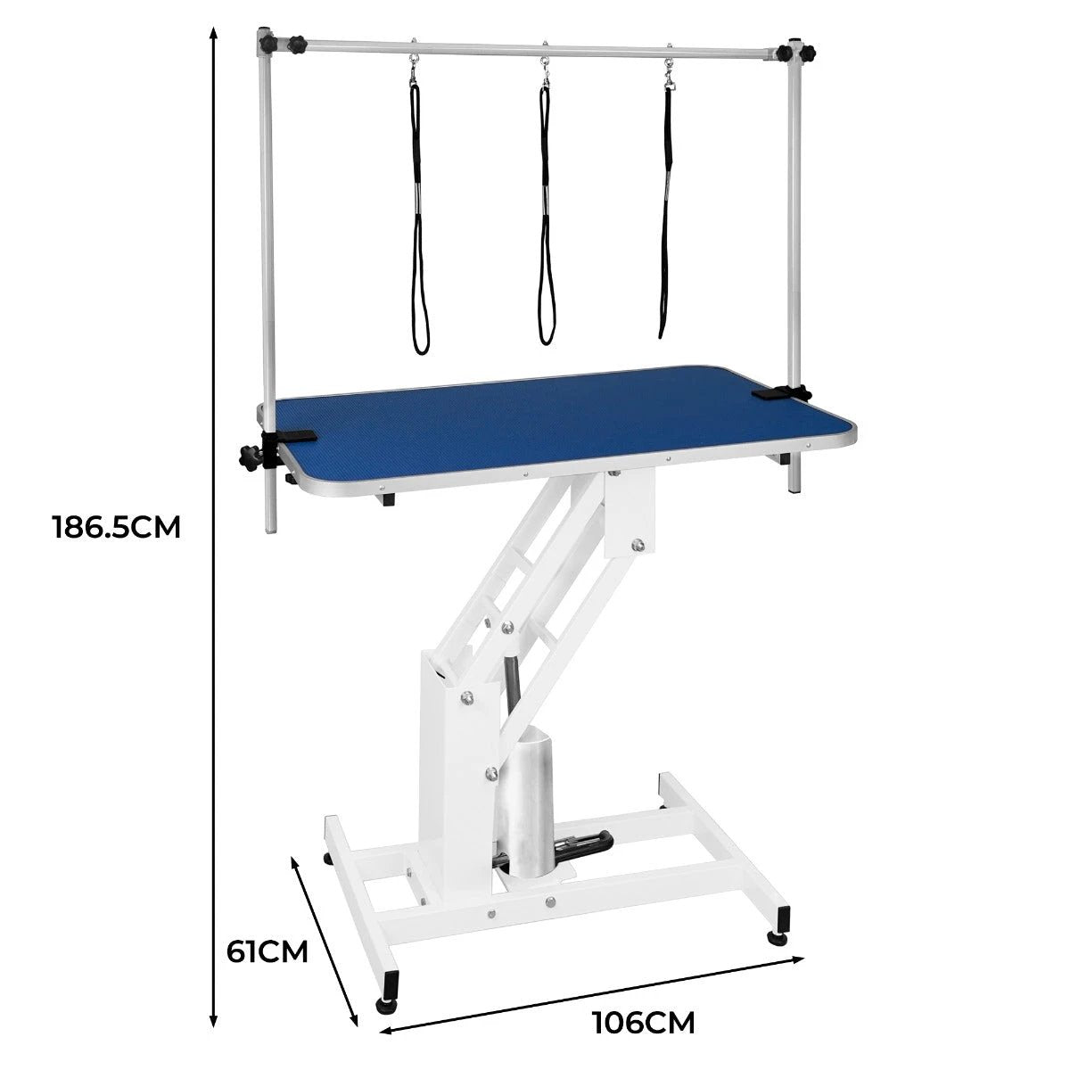 White Hydraulic Grooming Table - Blue Table Top by Monster Shop