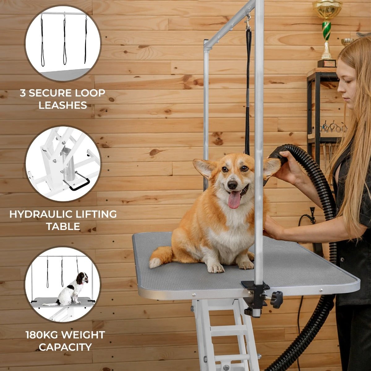 White Hydraulic Grooming Table - Grey Table Top by Monster Shop