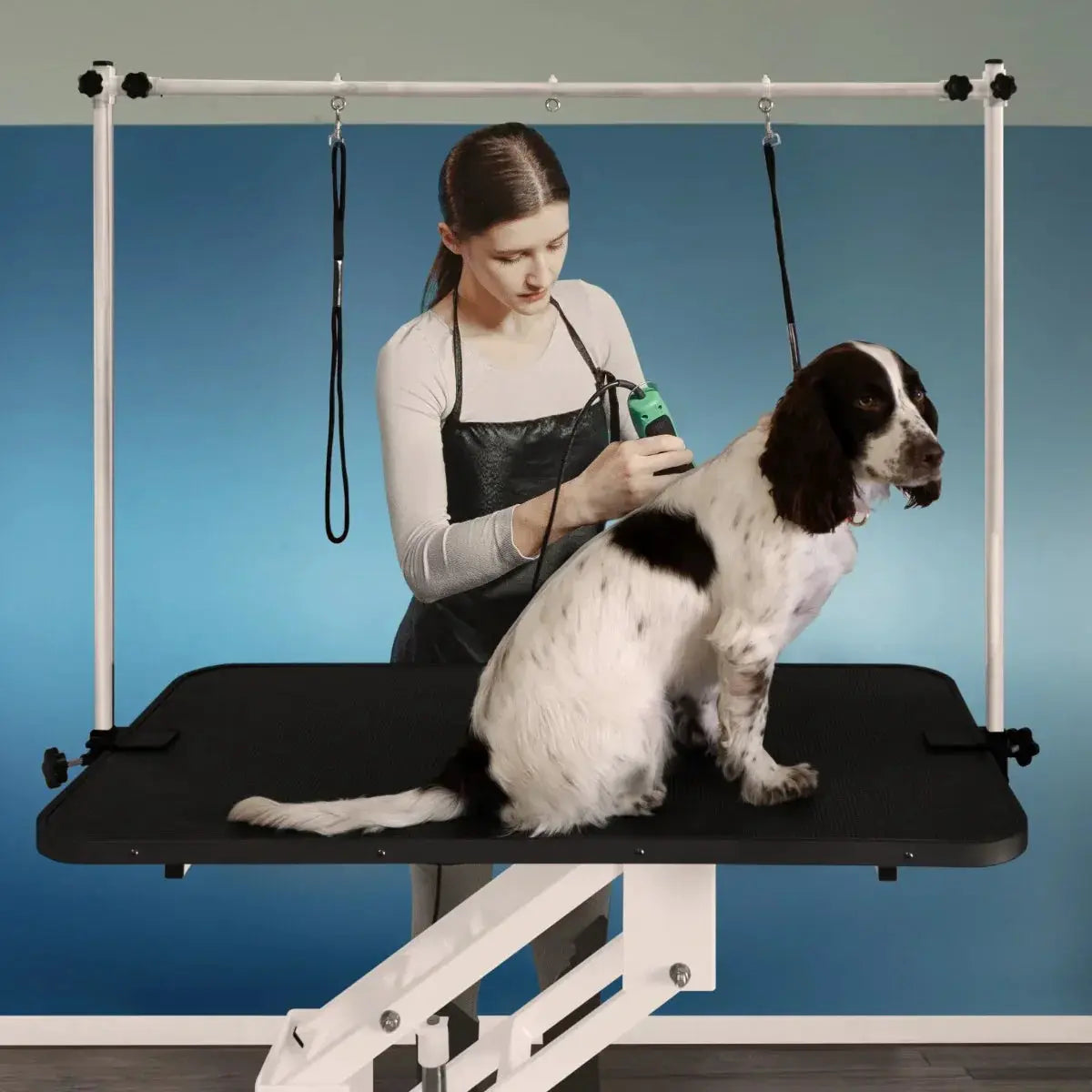 Monster Shop White Hydraulic Grooming Table - Black Table Top -