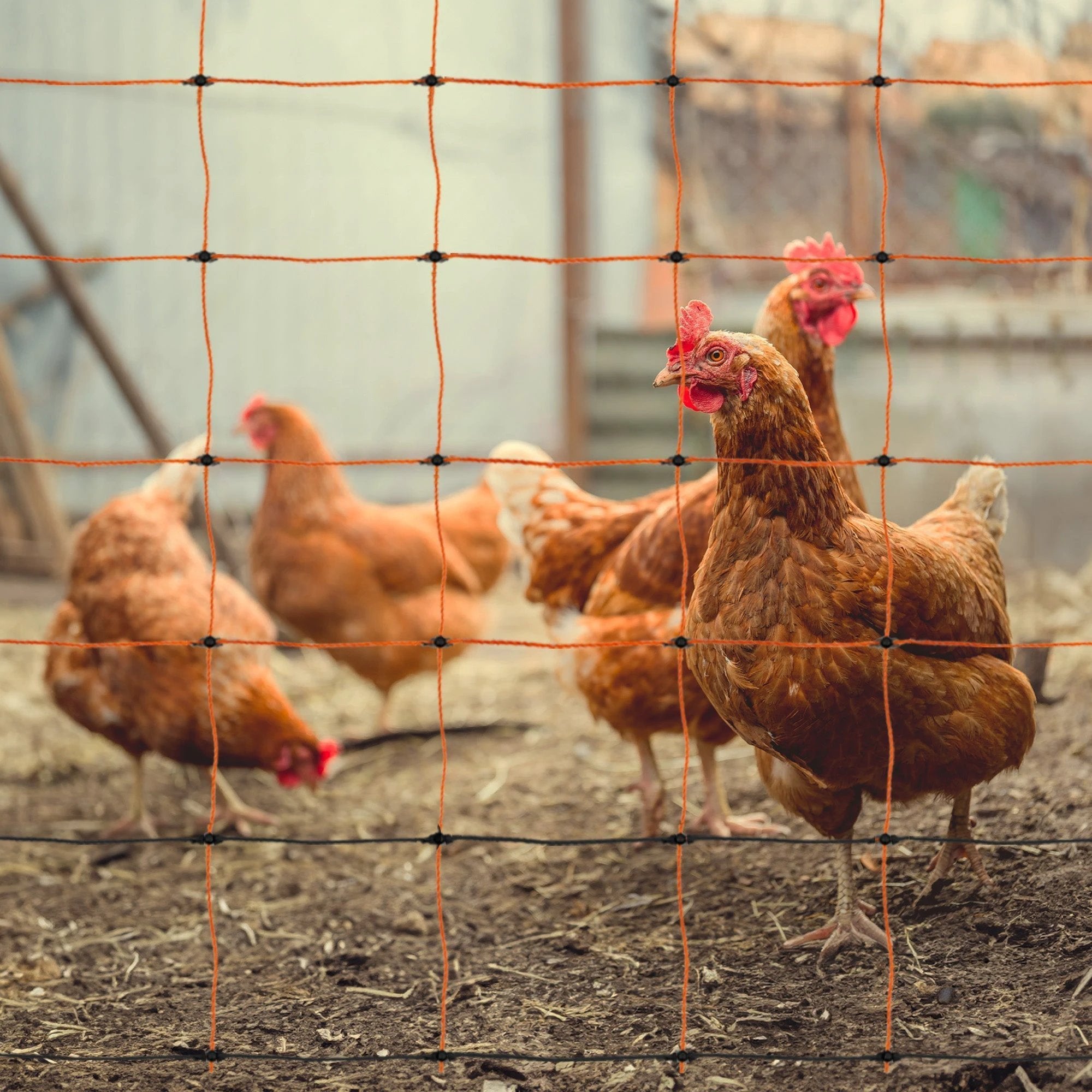 Electric Fence Energiser & Poultry Netting - 50m by Monster Shop