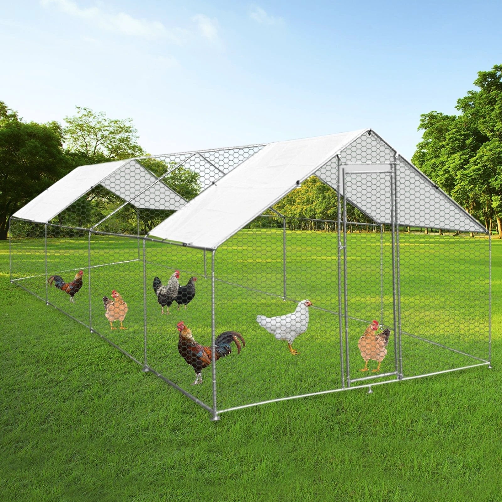 Chicken Run 4m x 8m x 2m by Monster Shop
