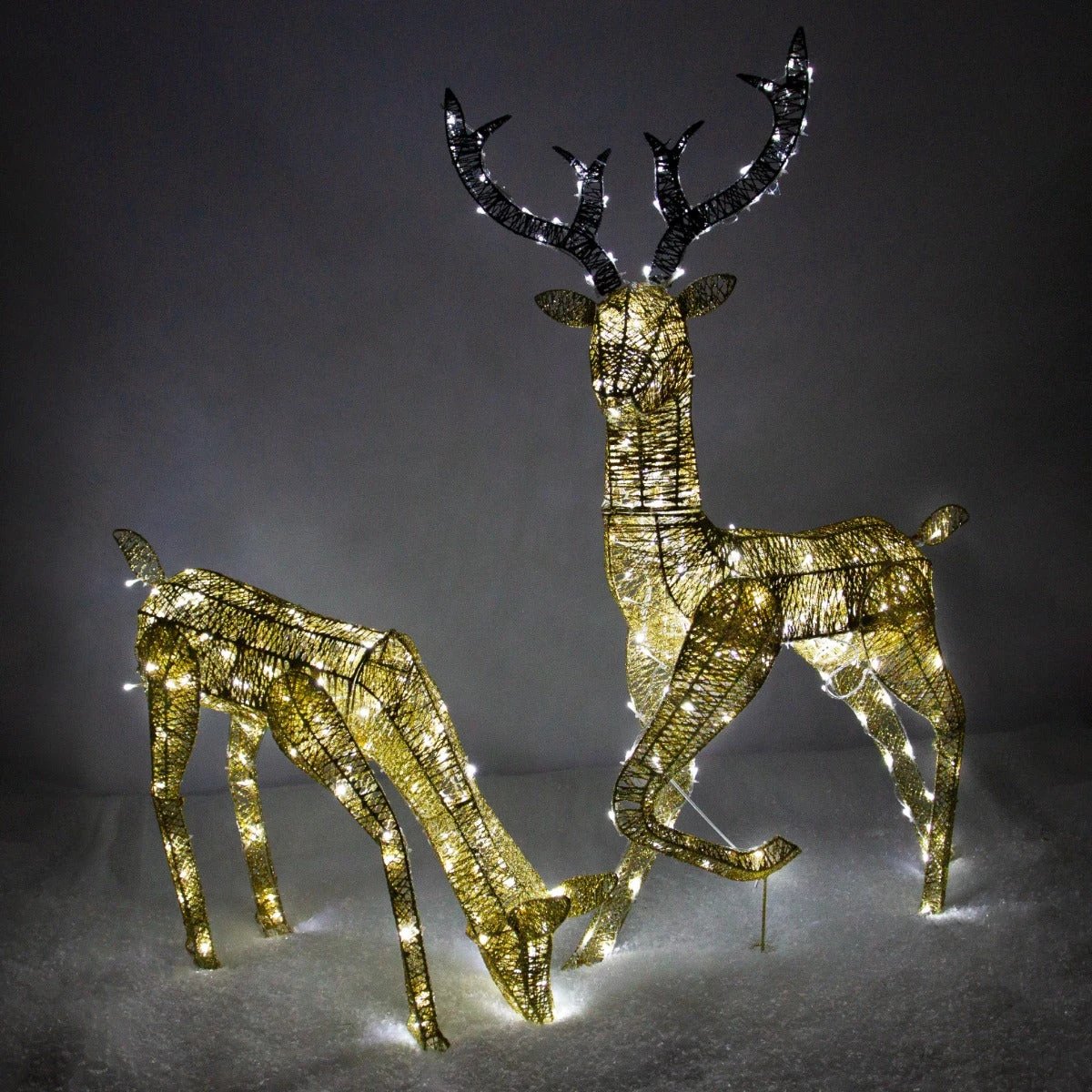 Light up Reindeer Gold Stag & Doe Set by Monster Shop