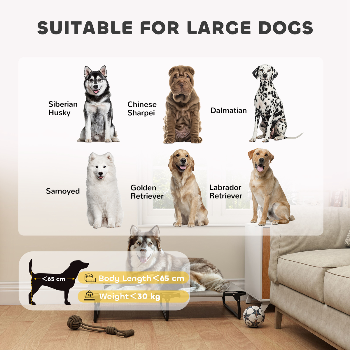 Dog House - from N/A