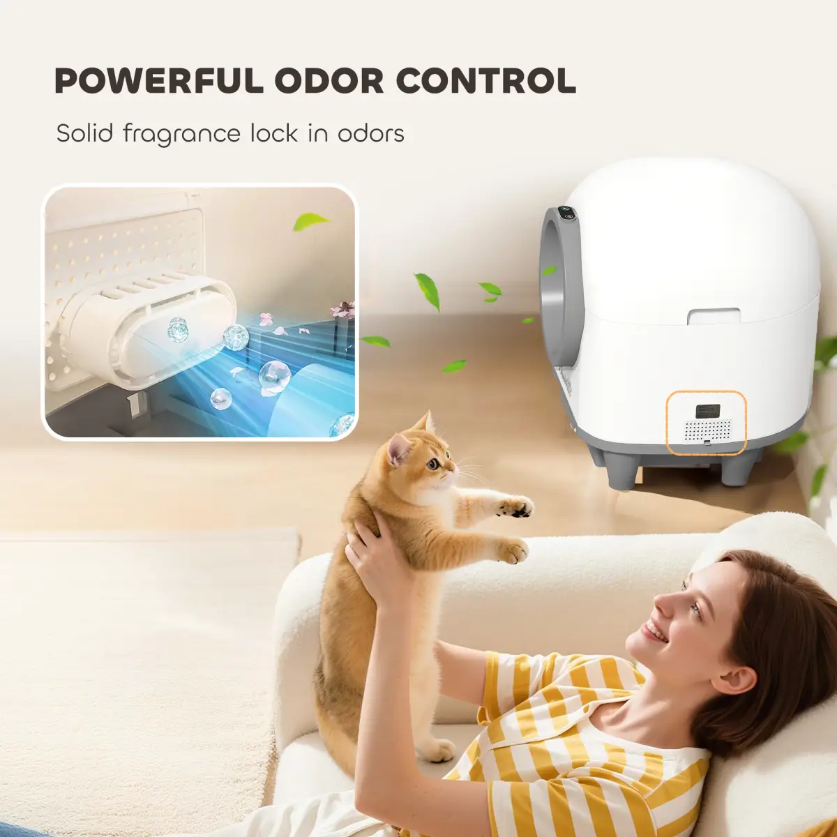 N/A Cat Litter Box - Cat Litter