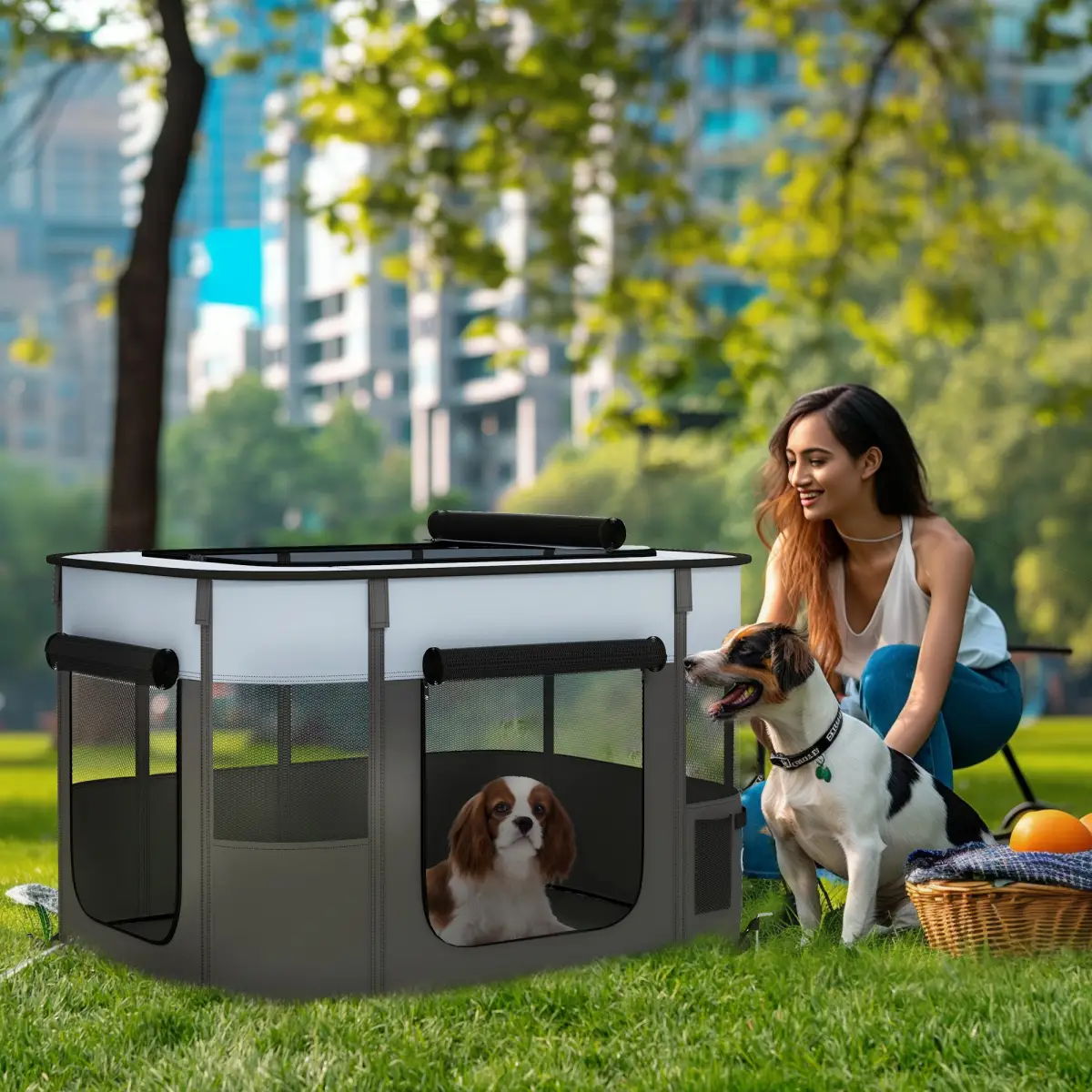 PawHut PawHut Portable Dog Pen for Puppies, Rabbits, Kittens, Guinea Pigs - Grey - Pet Playpen