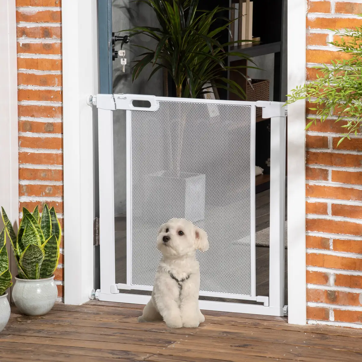 Pressure Fit Safety Gate for Stairs w/ Auto Close 75-82 cm - White Pawhut - Pet Gate