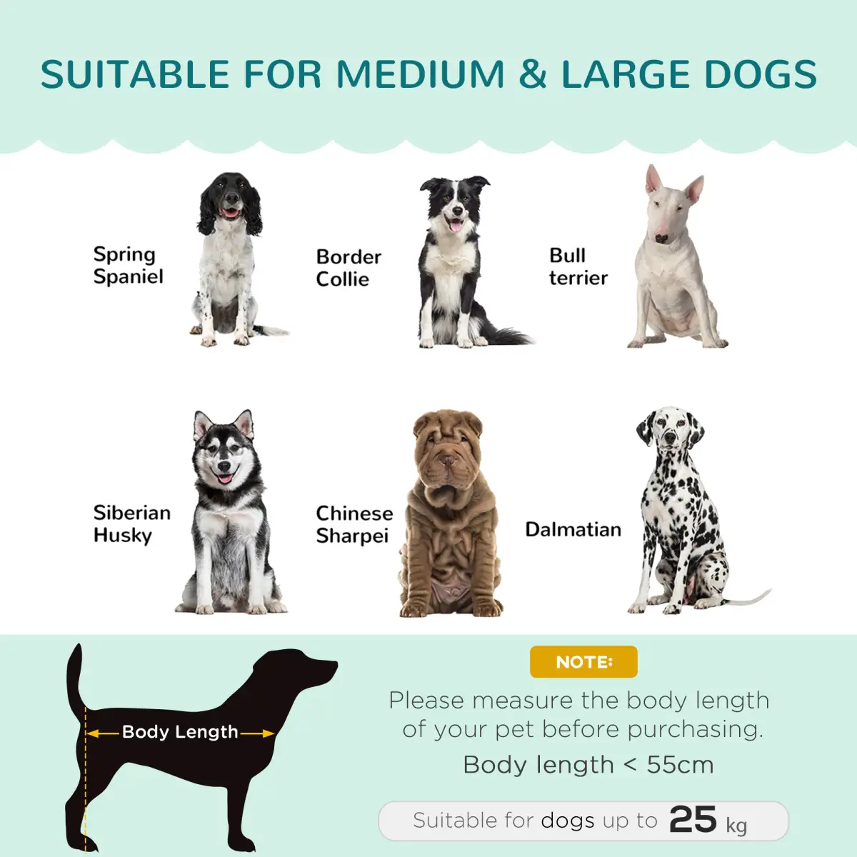 PawHut PawHut Dog Sofa, Pet Couch Bed for Medium, Large Dogs w/ Legs, Cushion - Green - Dog Beds