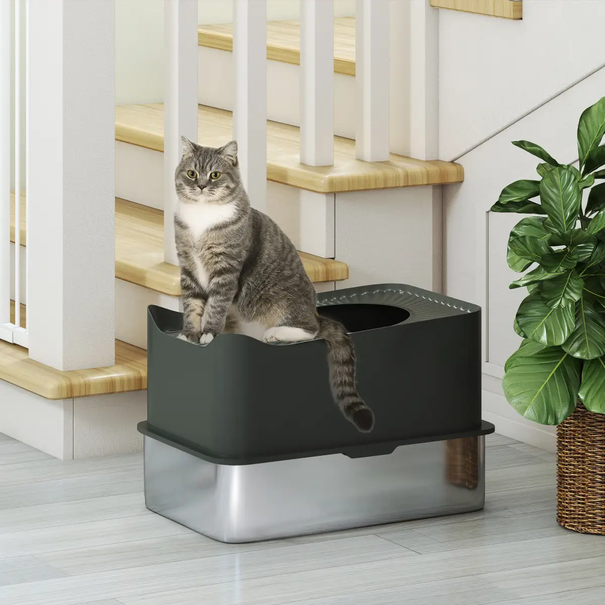 N/A Cat Litter Box - Cat Litter