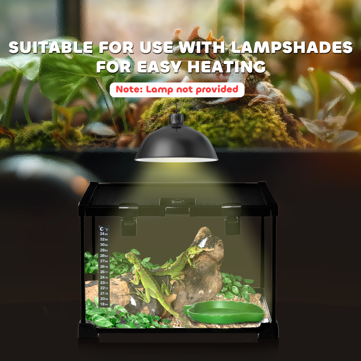 Glass Reptile Terrarium Habitats for Lizards, Frogs, Snake Pawhut - from Unbranded