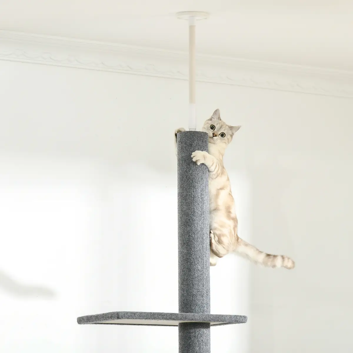 Unbranded 260cm Floor To Ceiling Cat Tree Kitten Tower Adjustable Height - Grey Pawhut - Cat Tree
