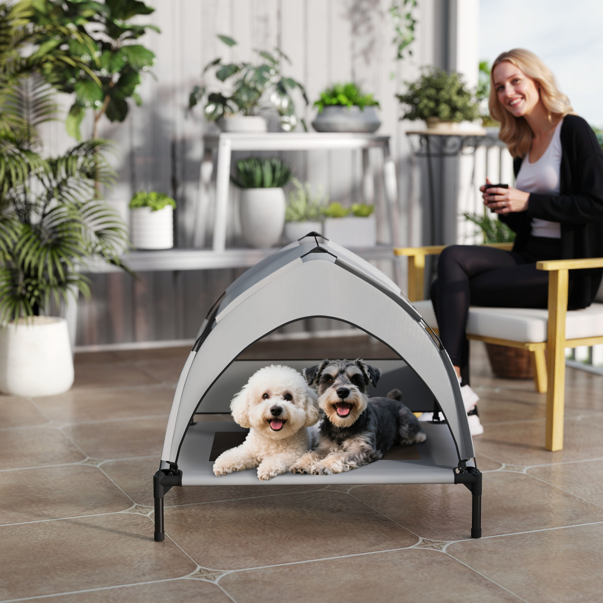 Dog House - from N/A