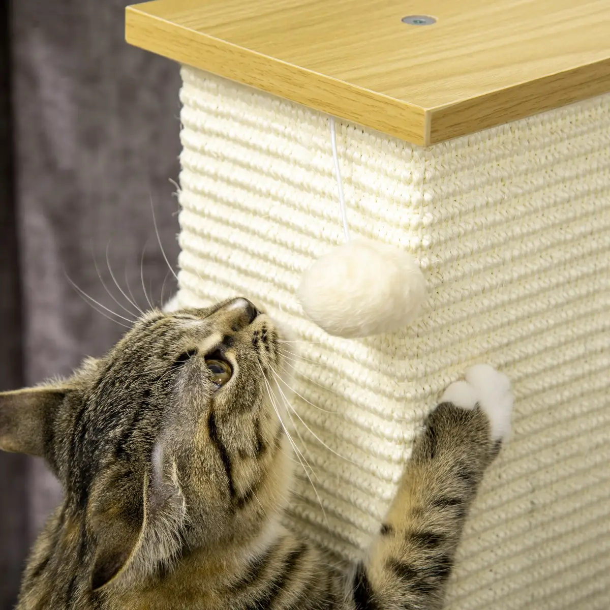 PawHut 80cm Sisal Rope Scratching Post w/ Toy Ball - White - Cat Tree