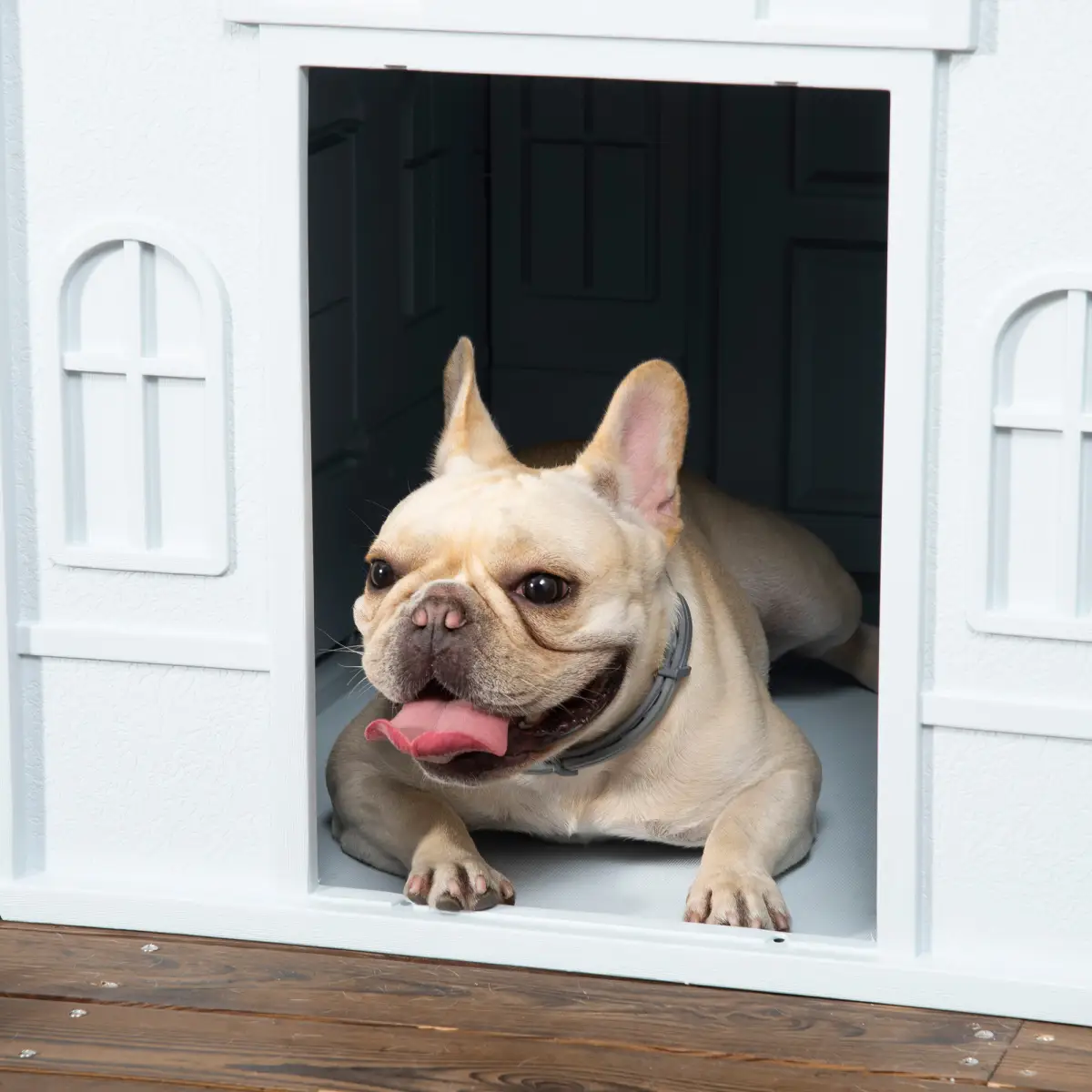 PawHut PawHut Weather-Resistant Dog House, Puppy Shelter for Medium Dogs - Blue - Dog Kennel