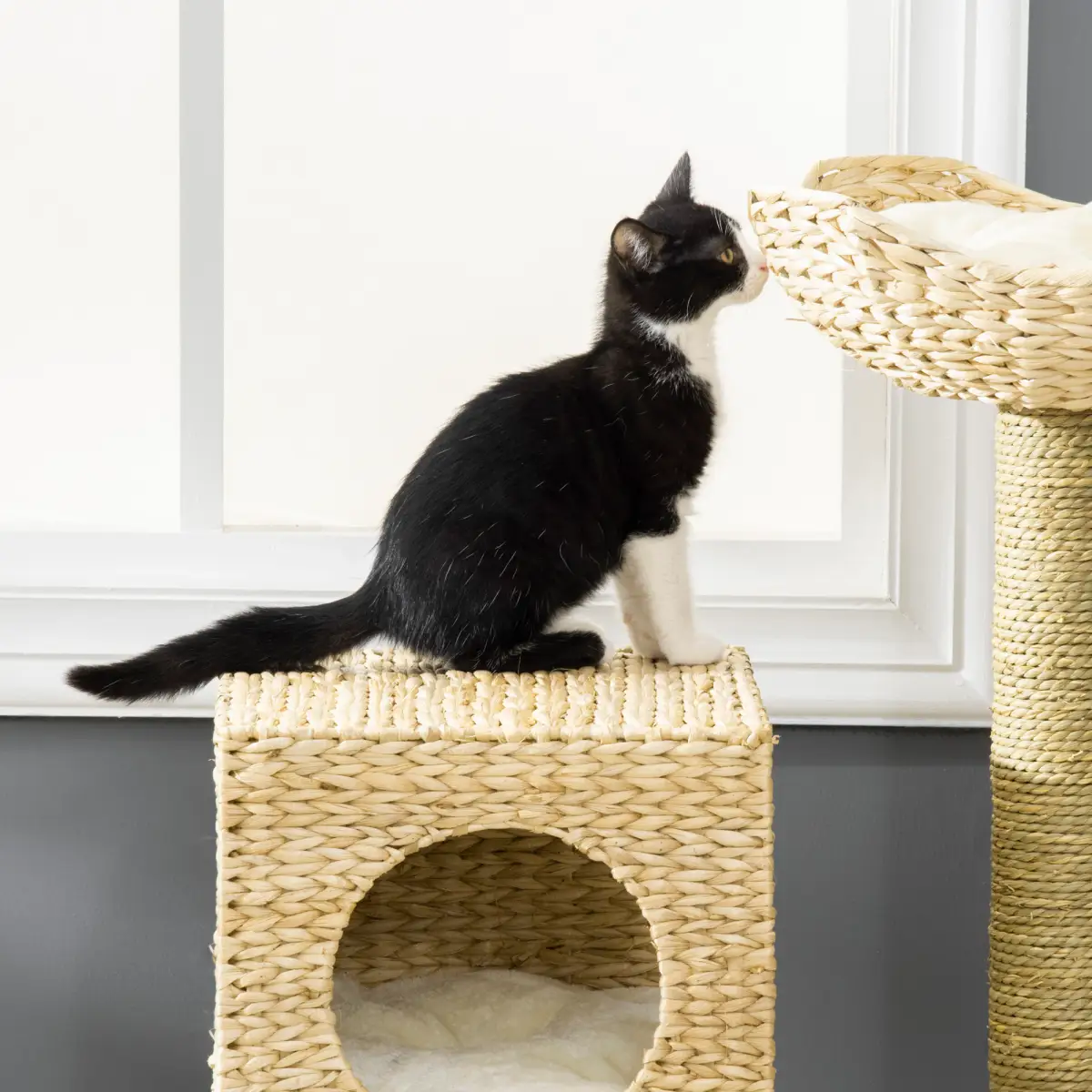 Unbranded Cat Tree Kitten Tower Cattail Weave w/ Scratching Posts, Bed, House Pawhut - Cat Tree