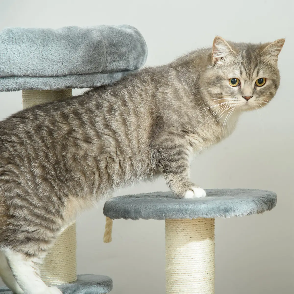Pawhut Cat Tree Scratcher Kitty Activity Play Center Post 2 Perch w/ Hanging Sisal Rope - Cat Tree