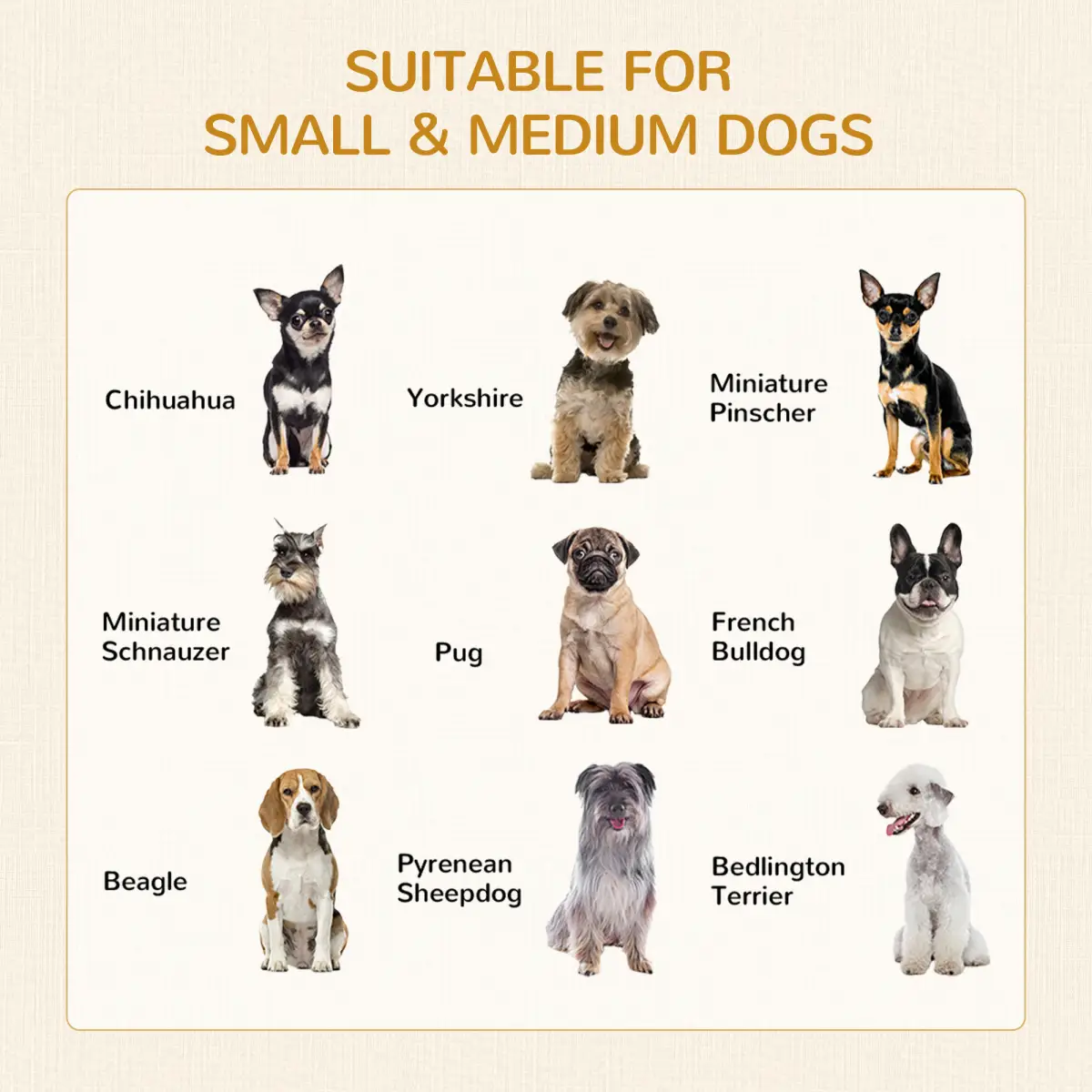 Unbranded Double-Door Dog Kennel Furniture Pet Crate, for Medium Dogs, Indoor Use - Grey -