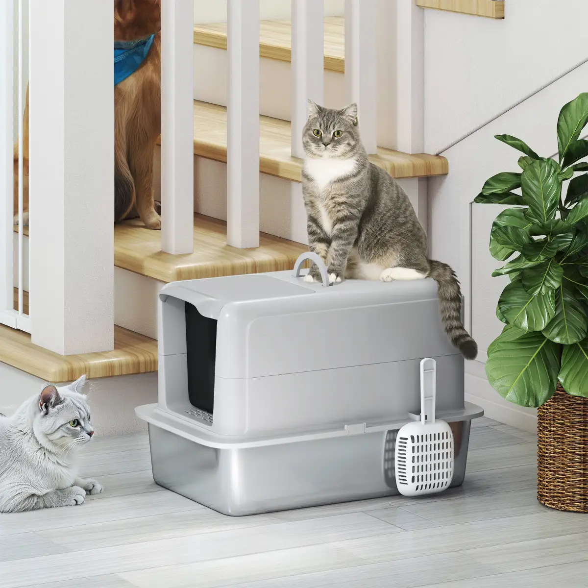 N/A Cat Litter Box - Cat Litter