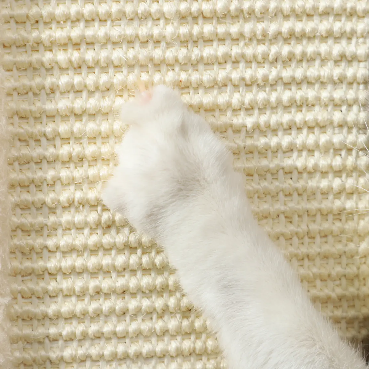 PawHut PawHut 67cm Cat Scratching Post 3 in 1 Cat Scratcher w/ Track Ball Toy - Cat Tree