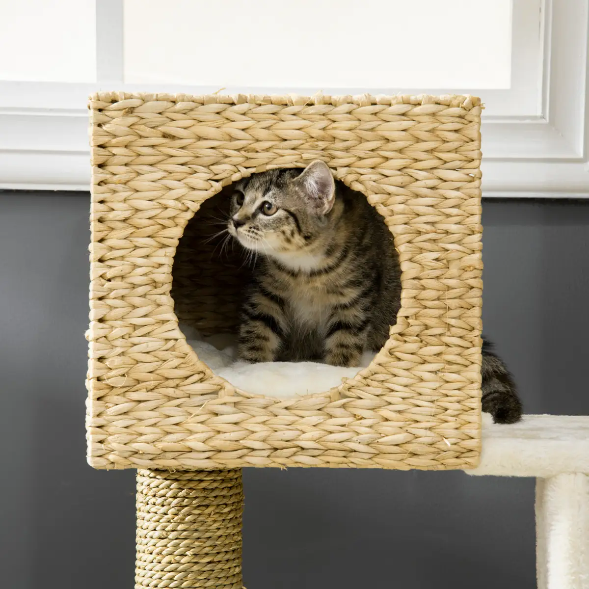 Unbranded Cat Tree Kitten Tower Cattail Weave w/ Scratching Posts, Bed, House Pawhut - Cat Tree