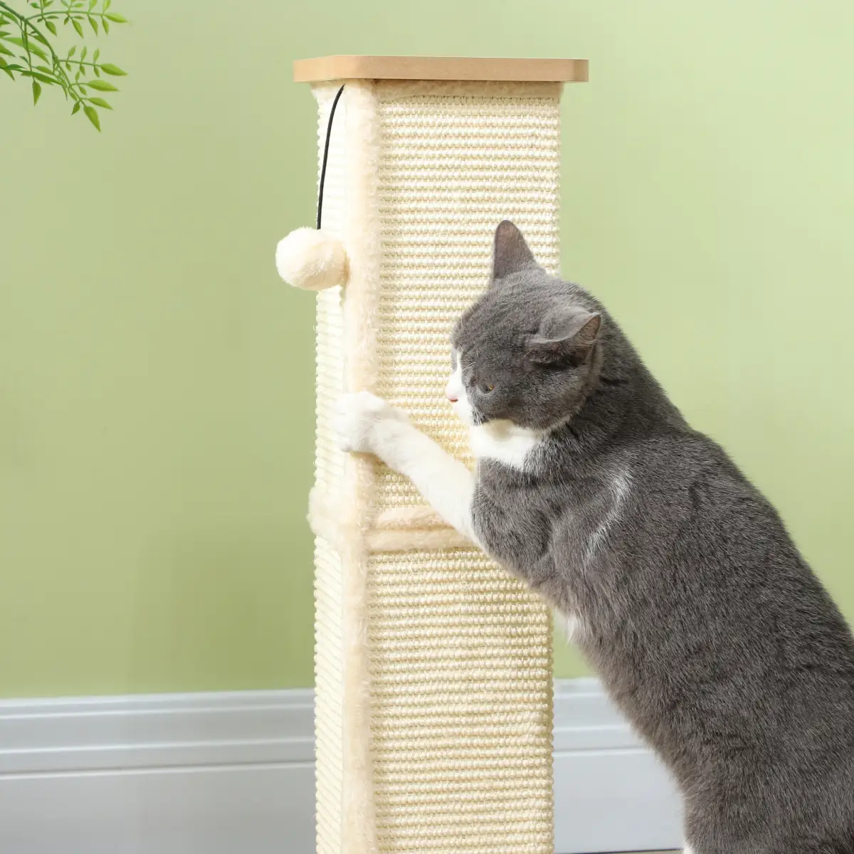 PawHut PawHut 67cm Cat Scratching Post 3 in 1 Cat Scratcher w/ Track Ball Toy - Cat Tree
