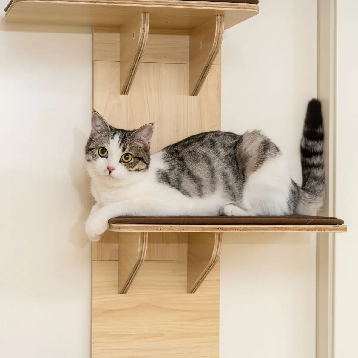 PawHut PawHut 4-Level Cat Tree Door Mounted with Washable Plush Pads, Toy Ball - Cat Tree
