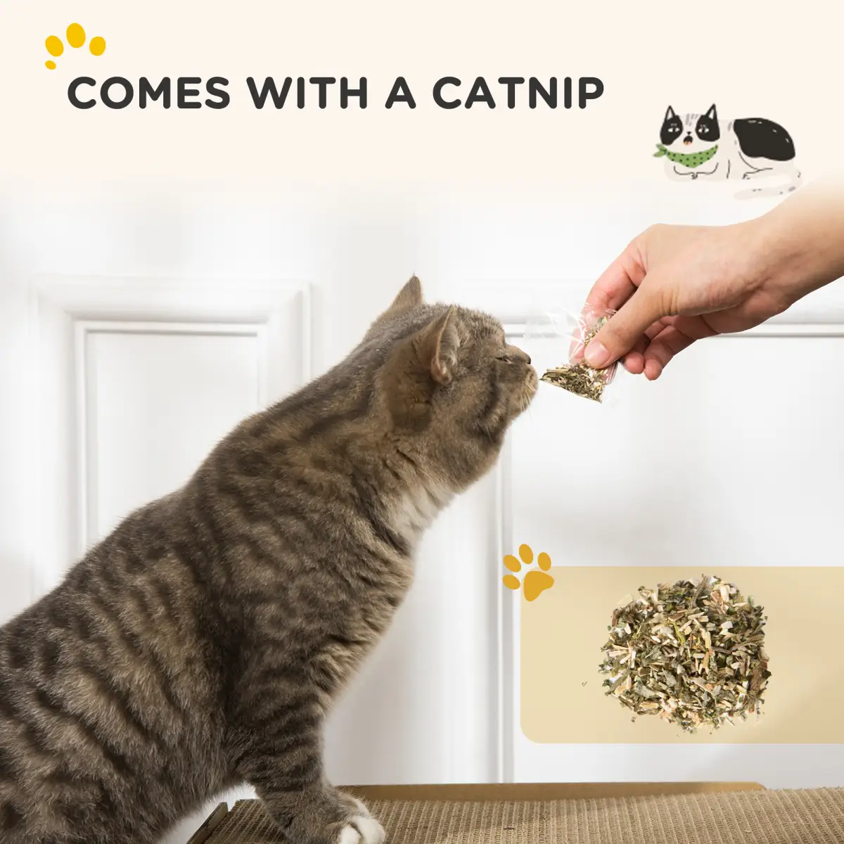 PawHut PawHut TV Shape Cat Scratching Board with Catnip, for Indoor Cats, Brown - Cat House