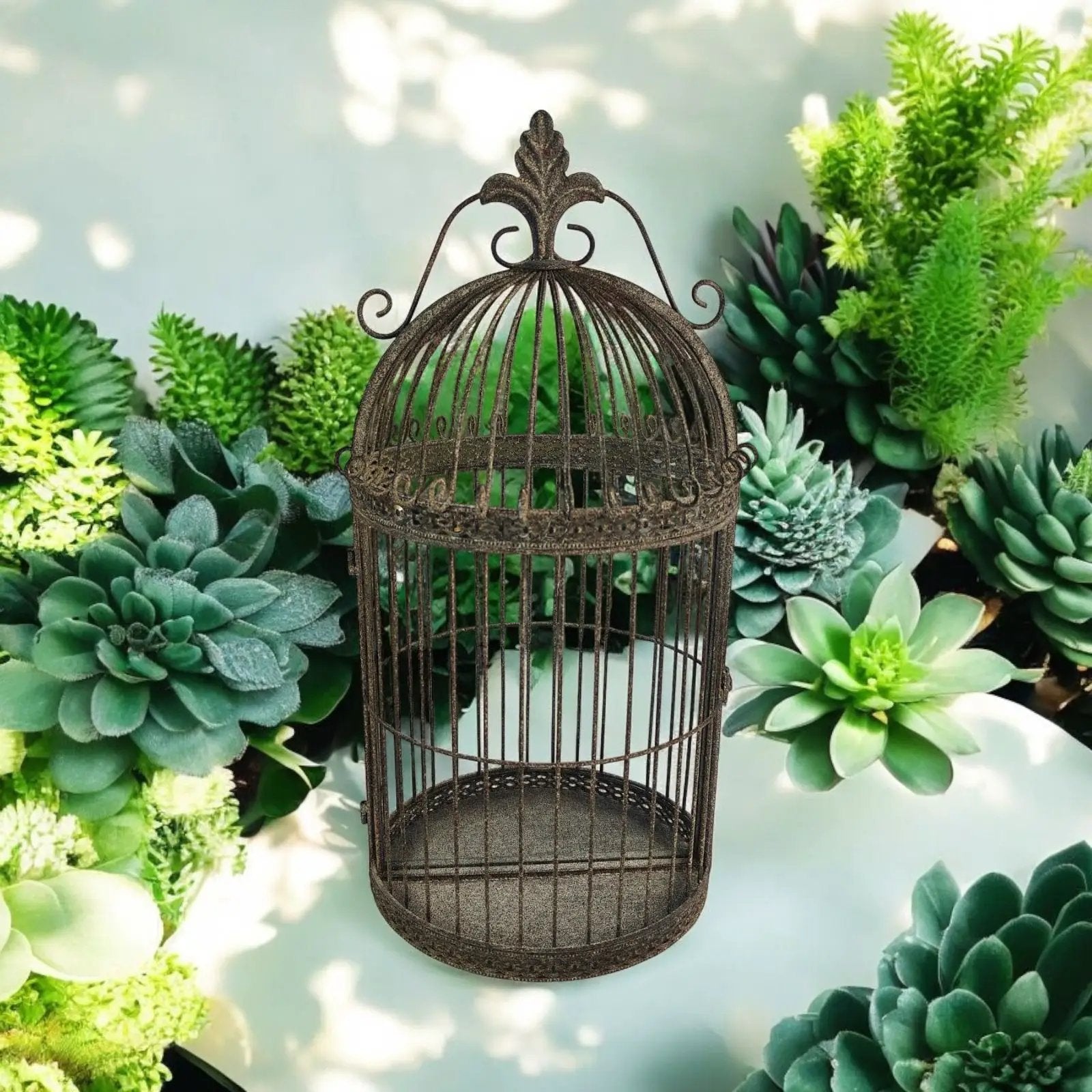 MSL 63CM WALL MIRROR - Mirror