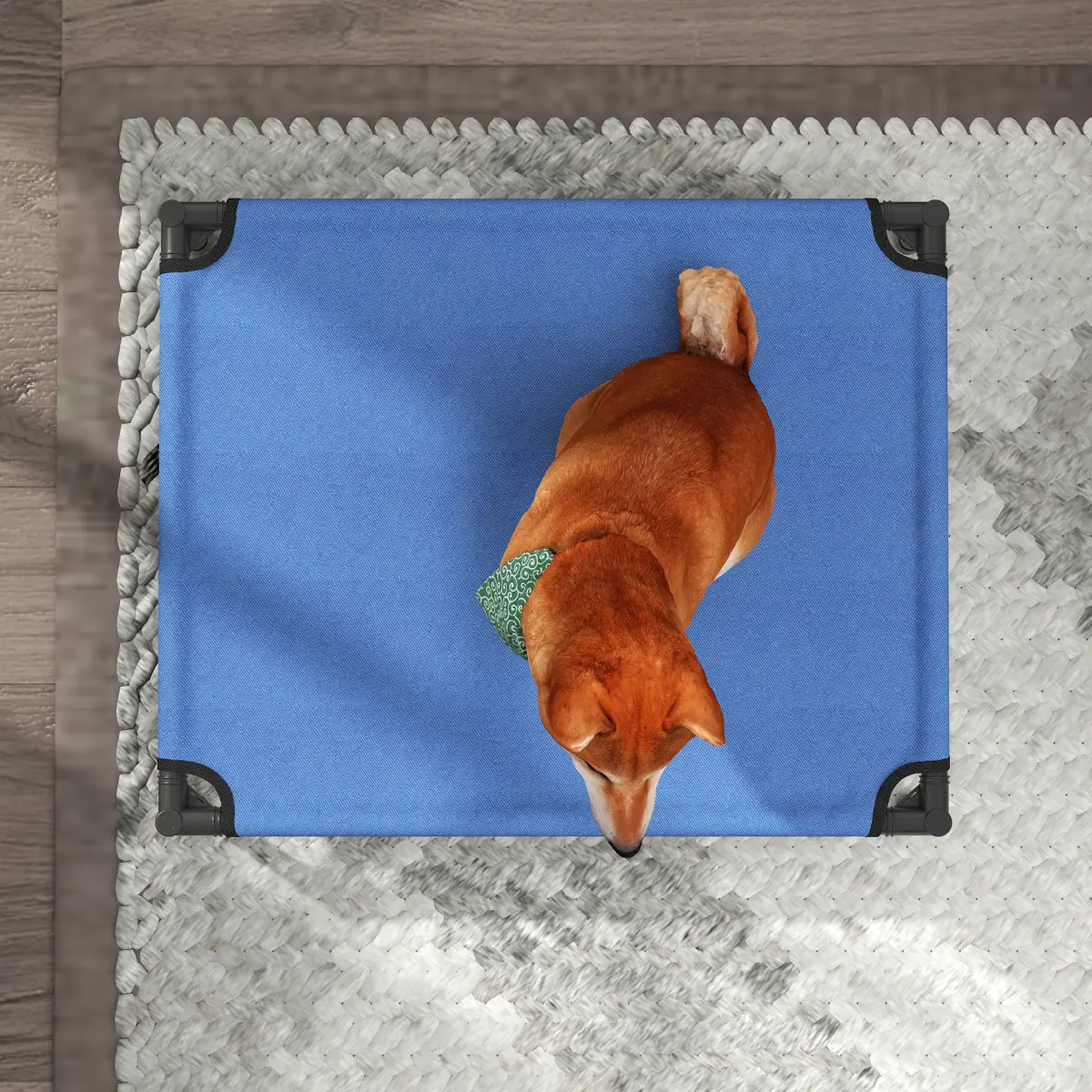 Pawhut Elevated Pet Bed Cool Cot Dog Cat Portable Folding Home Camping Hammock Foldable - Dog Beds