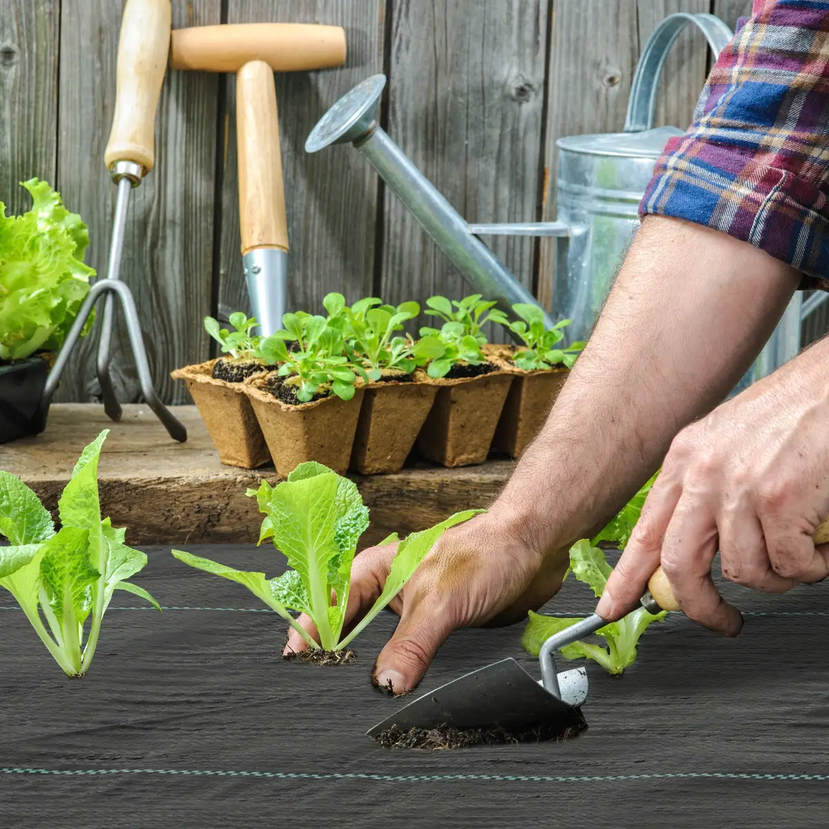 Outsunny Outsunny 1x50m Weed Barrier Fabric Durable Convenient Design Weed Block Mat - Barrier Mats