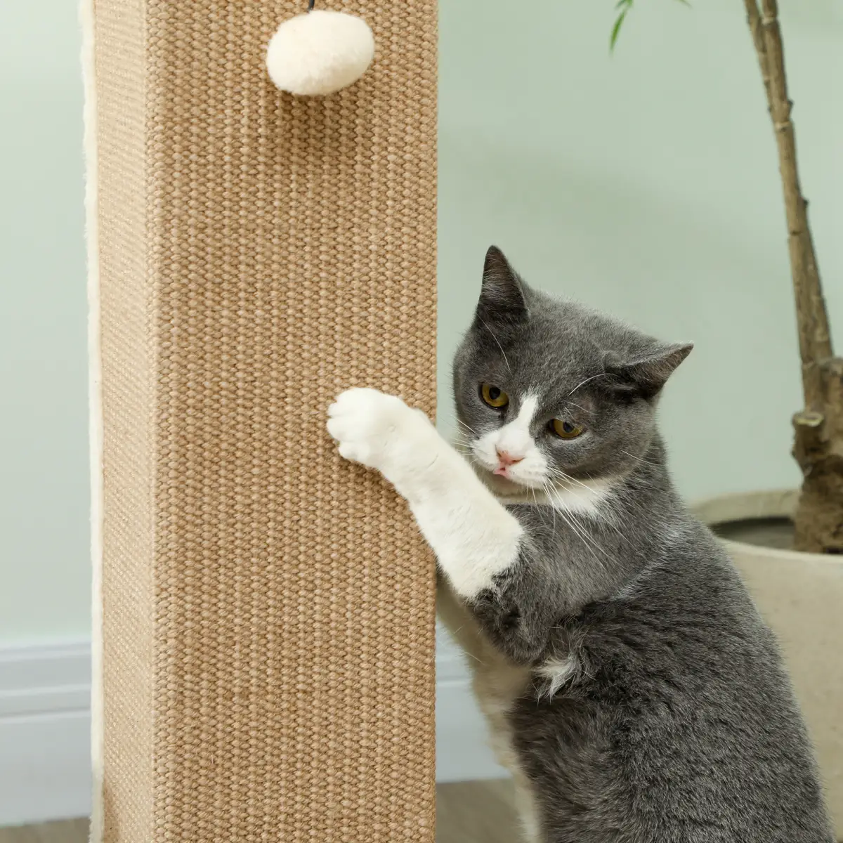 PawHut PawHut 81cm Cat Scratching Post w/ Sisal Rope, Hanging Ball Soft Plush - Cat Tree