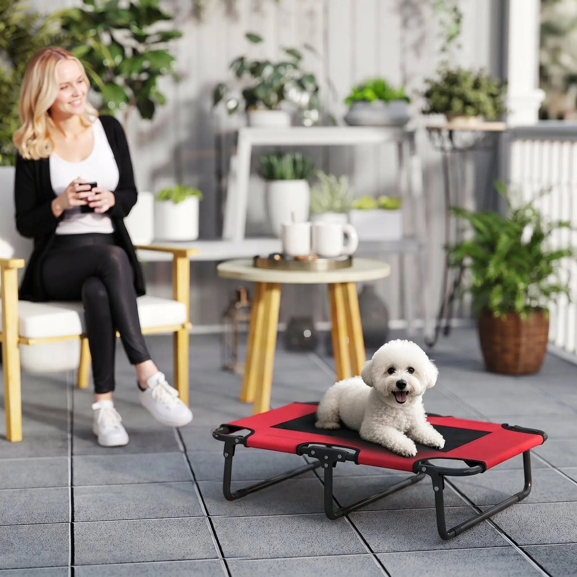 PawHut PawHut Raised Dog Bed with Breathable Mesh for S & M Dogs - Dog Beds