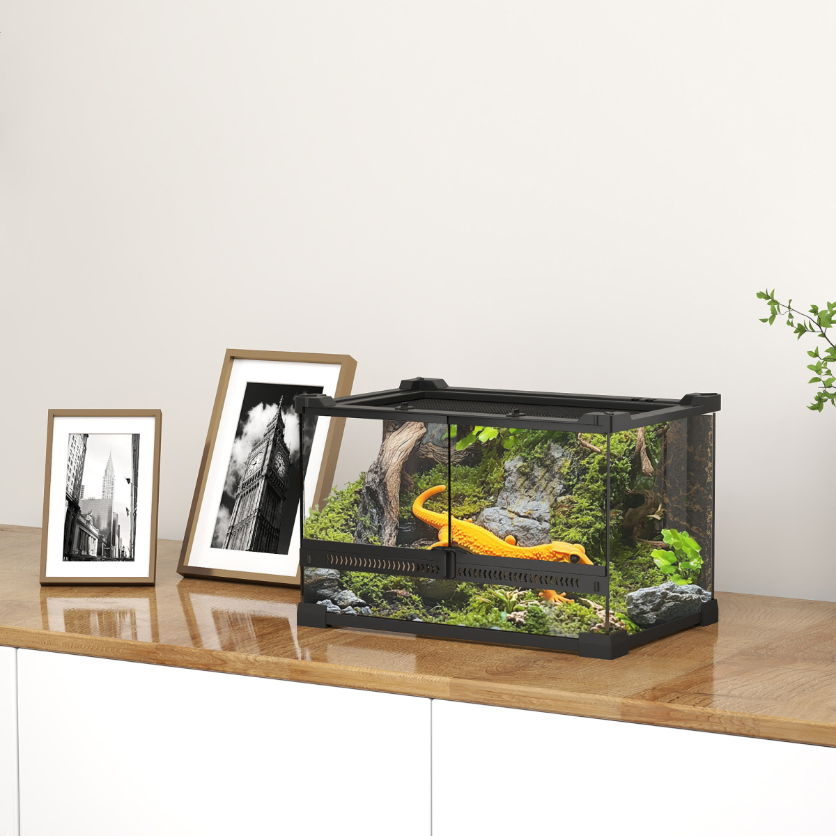PawHut 10L Glass Terrarium, Reptile Vivarium with Stone Background - from PawHut