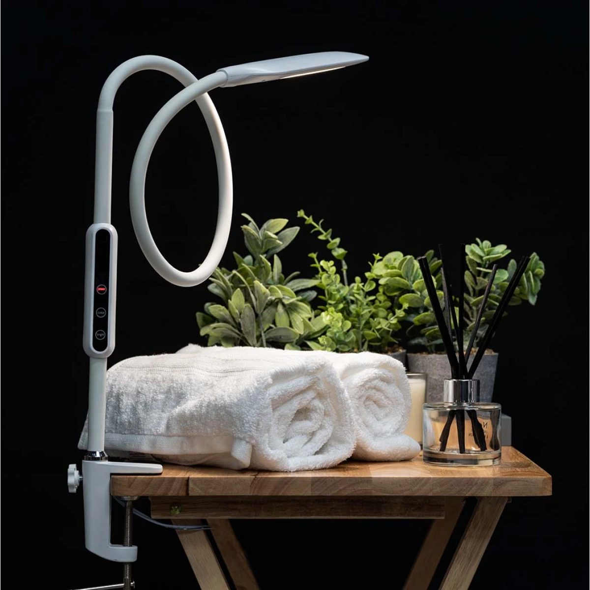 Native Lighting Home Symphony Lumina Desk Lamp 12in Gooseneck - Lamp